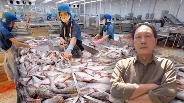 Du duoc Thaco ho tro, co phieu cua dai gia Duong Ngoc Minh van bi tam ngung giao dich