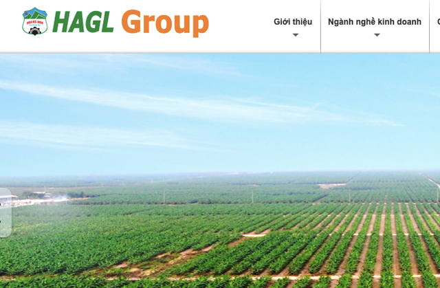 HAGL Agrico cua bau Duc lai tinh chuyen phat hanh co phieu du kinh doanh thua lo