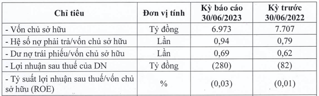 Bông Sen Corp lỗ tiếp 280 tỷ 6 tháng, gánh 668 tỷ tiền lãi và phạt trái phiếu Bong Sen Corp lo tiep 280 ty 6 thang, ganh 668 ty tien lai va phat trai phieu