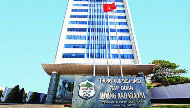 Giảm lãi sau kiểm toán 2019, HAGL còn hàng loạt ý kiến ngoại trừ Giam lai sau kiem toan 2019, HAGL con hang loat y kien ngoai tru