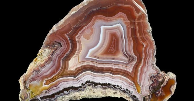 Loại gỗ báu vật quý hơn cả vàng - Hình 9 Loai go bau vat quy hon ca vang-Hinh-9