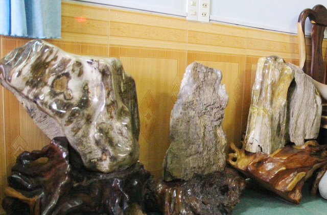 Loại gỗ báu vật quý hơn cả vàng - Hình 6 Loai go bau vat quy hon ca vang-Hinh-6