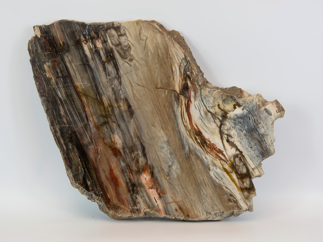 Loại gỗ báu vật quý hơn cả vàng - Hình 7 Loai go bau vat quy hon ca vang-Hinh-7