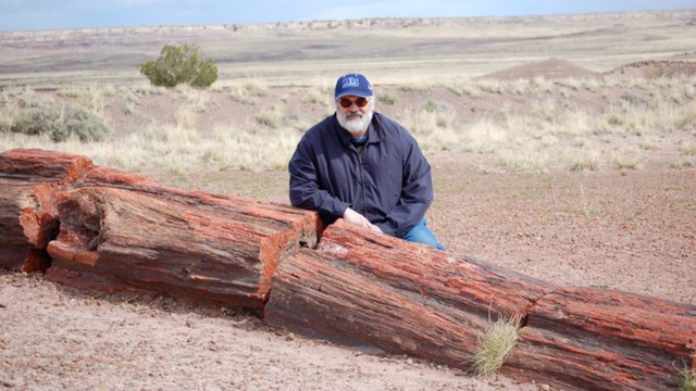 Loại gỗ báu vật quý hơn cả vàng - Hình 4 Loai go bau vat quy hon ca vang-Hinh-4