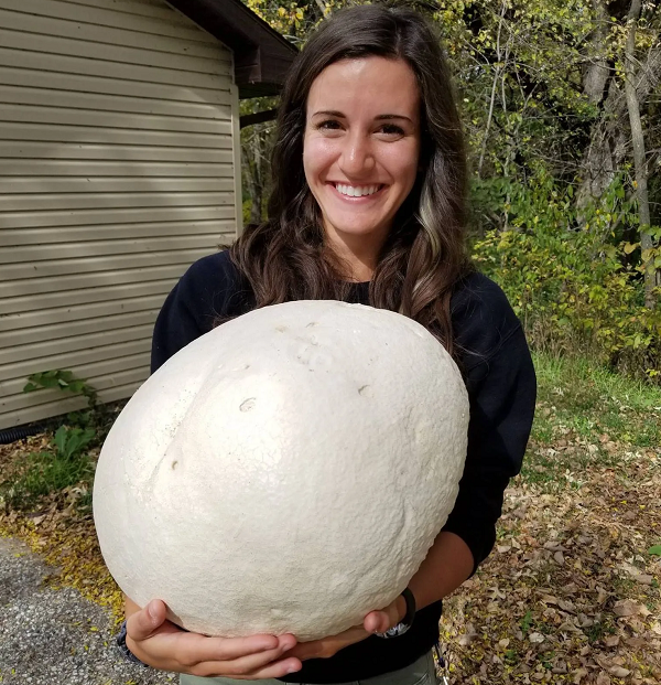 Bí mật bất ngờ trong 'báu vật khổng lồ' trên bãi cỏ - Hình 6 Bi mat bat ngo trong 'bau vat khong lo' tren bai co-Hinh-6