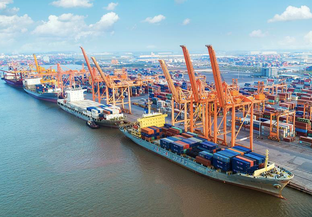 Cang Hai Phong muon thoai von tai MSB khi da loi gap doi?-Hinh-2