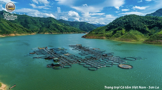 Cá Tầm Việt Nam của đại gia Lê Anh Đức có lãi trở lại nhưng vốn âm - Hình 2 Ca Tam Viet Nam cua dai gia Le Anh Duc co lai tro lai nhung von am-Hinh-2