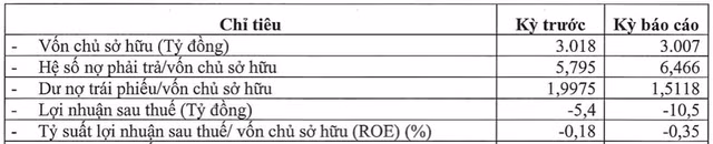 Chu dau tu du an Doi Rong thua lo, du no trai phieu con 4.540 ty