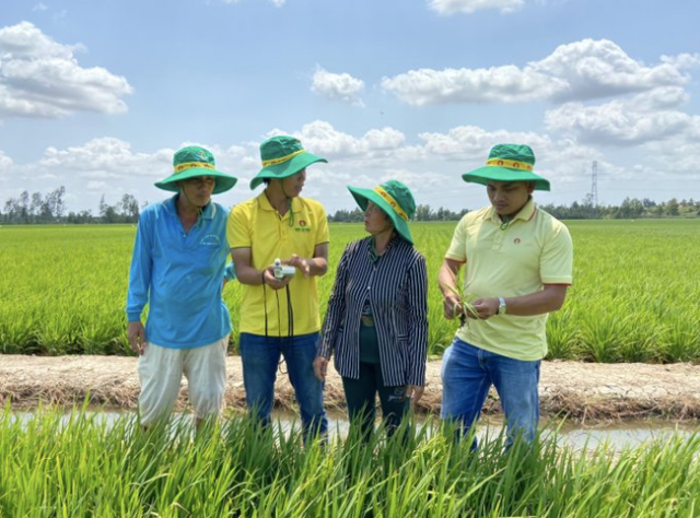 Gia phan bon trong nuoc dien bien theo quy luat thi truong the gioi-Hinh-2