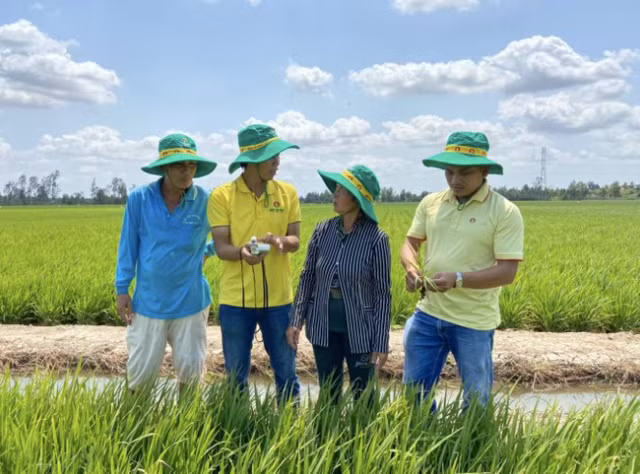 Gia phan bon trong nuoc dien bien theo quy luat thi truong the gioi-Hinh-2