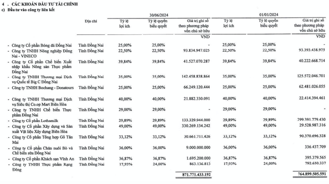 Dofico lên kế hoạch lãi 168 tỷ, tiếp tục tái thoái vốn tại các đơn vị thành viên - Hình 5 Dofico len ke hoach lai 168 ty, tiep tuc tai thoai von tai cac don vi thanh vien-Hinh-5