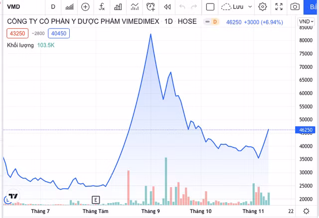 So phan Vimedimex va HBS ra sao khi Chu tich Nguyen Thi Loan bi bat?-Hinh-4