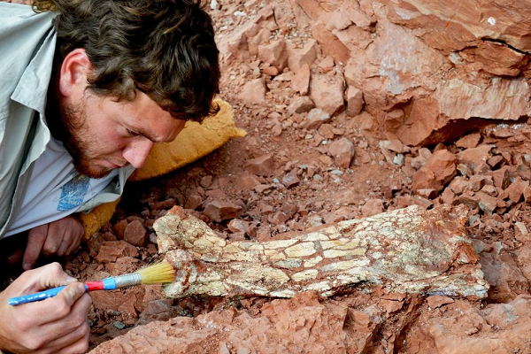 Phát hiện dấu vết loài “Rồng tử thần” từng thống trị Trái đất - Hình 2 Phat hien dau vet loai “Rong tu than” tung thong tri Trai dat-Hinh-2