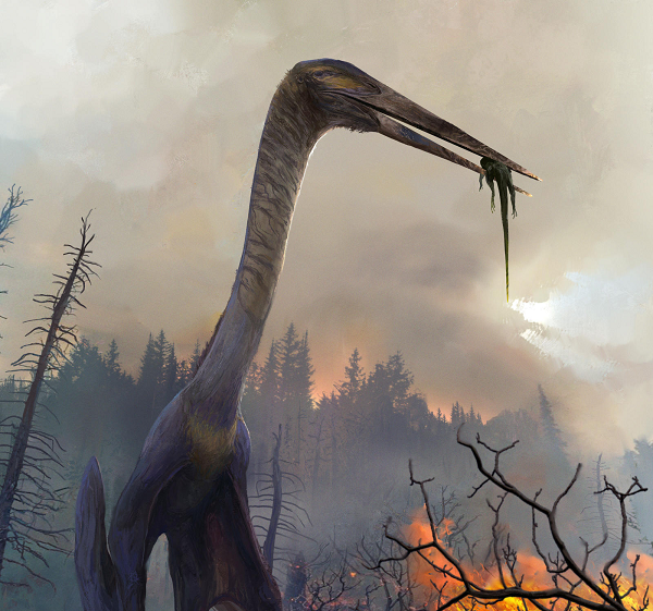 Phát hiện dấu vết loài “Rồng tử thần” từng thống trị Trái đất - Hình 11 Phat hien dau vet loai “Rong tu than” tung thong tri Trai dat-Hinh-11