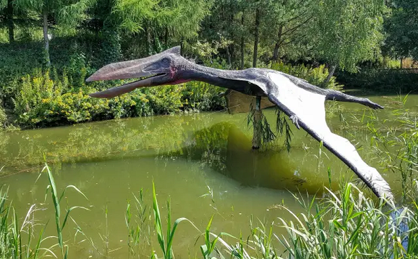 Phát hiện dấu vết loài “Rồng tử thần” từng thống trị Trái đất - Hình 9 Phat hien dau vet loai “Rong tu than” tung thong tri Trai dat-Hinh-9