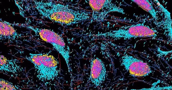 Te bao bat tu Hela giup con nguoi keo dai tuoi tho den 1.000 nam?-Hinh-4