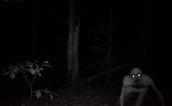 Rung minh nhung sinh vat quai di nhat co thuc su ton tai?-Hinh-6