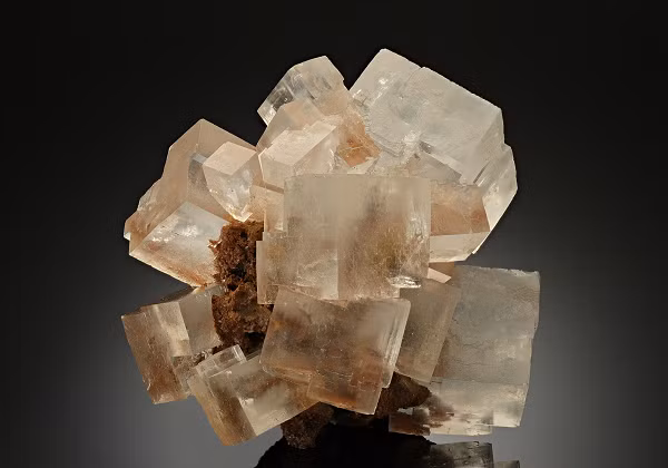 Nong: “Xac uop” co dai he lo cach bao quan su song sao Hoa-Hinh-11