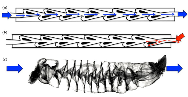 Phát minh Van Tesl bỗng có khả năng ứng dụng sau hơn 100 năm - Hình 3 Phat minh Van Tesl bong co kha nang ung dung sau hon 100 nam-Hinh-3