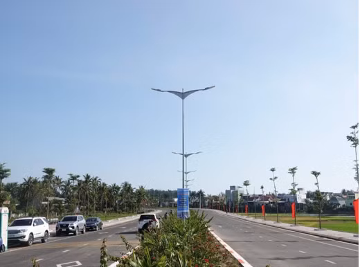 Binh Dinh: Hai nguoi bo coc 4,2 ti dong sau khi trung dau gia 13 lo dat