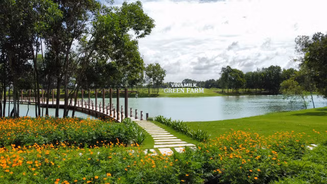 Doanh thu Vinamilk quy 2 dat muc cao ky luc tu thi truong xuat khau-Hinh-5