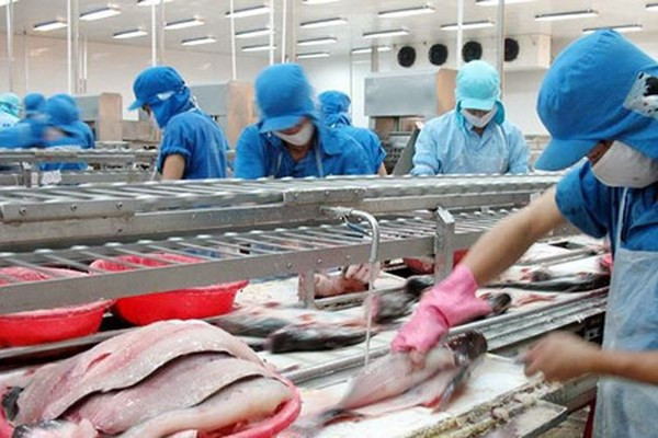 Cổ phiếu VHC lập đỉnh, Vĩnh Hoàn muốn chốt lời 1,4 triệu cổ phiếu quỹ Co phieu VHC lap dinh, Vinh Hoan muon chot loi 1,4 trieu co phieu quy