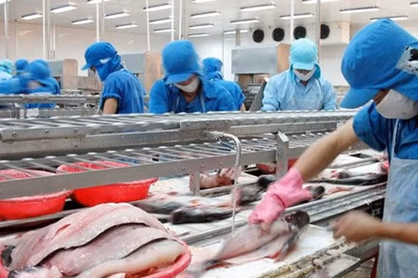 Co phieu VHC lap dinh, Vinh Hoan muon chot loi 1,4 trieu co phieu quy