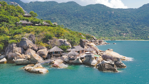 Ninh Vân Bay báo lỗ quý thứ 5 liên tiếp, cổ phiếu vẫn liên tục tăng trần Ninh Van Bay bao lo quy thu 5 lien tiep, co phieu van lien tuc tang tran