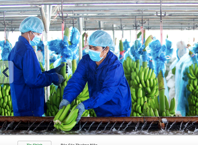 Hoang Anh Gia Lai bao lai 9 thang gan 900 ty, co phieu xanh tro lai