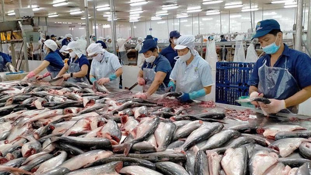 Ngành thủy sản 2023: Sẽ có tăng trưởng lợi nhuận âm do giá bán và tỷ suất lợi nhuận gộp giảm Nganh thuy san 2023: Se co tang truong loi nhuan am do gia ban va ty suat loi nhuan gop giam