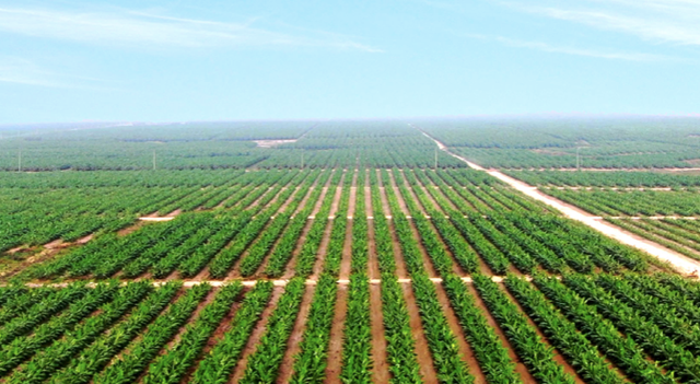 HAG báo lãi 120 tỷ đồng, kế hoạch năm 2022 lên tới 1.120 tỷ đồng HAG bao lai 120 ty dong, ke hoach nam 2022 len toi 1.120 ty dong