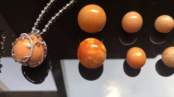 Được 'báo mộng', ngư dân tìm thấy ngọc trai Melo quý hiếm - Hình 3 Duoc 'bao mong', ngu dan tim thay ngoc trai Melo quy hiem-Hinh-3