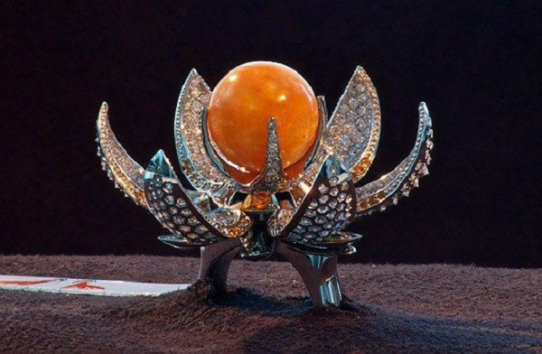 Được 'báo mộng', ngư dân tìm thấy ngọc trai Melo quý hiếm - Hình 7 Duoc 'bao mong', ngu dan tim thay ngoc trai Melo quy hiem-Hinh-7