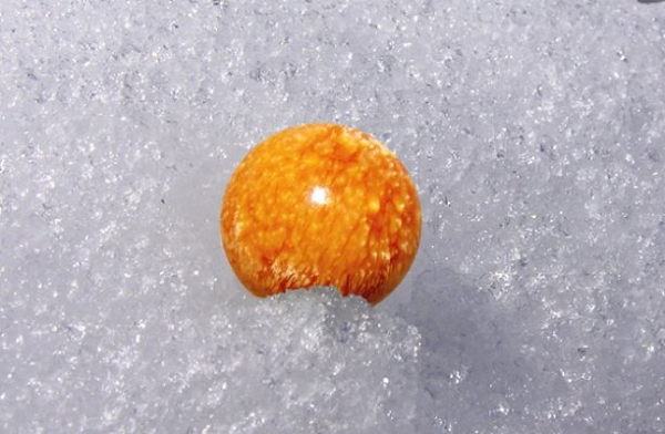 Được 'báo mộng', ngư dân tìm thấy ngọc trai Melo quý hiếm - Hình 10 Duoc 'bao mong', ngu dan tim thay ngoc trai Melo quy hiem-Hinh-10