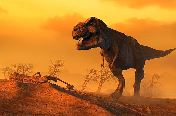 Nhung cuoc dai tuyet chung dang so nhat lich su-Hinh-9