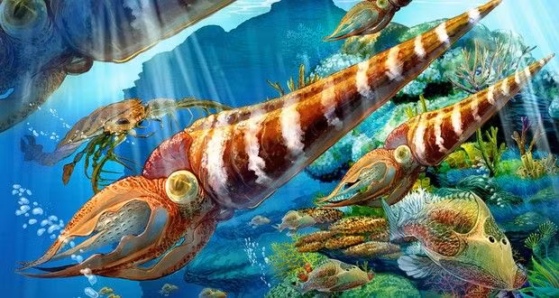 Nhung cuoc dai tuyet chung dang so nhat lich su