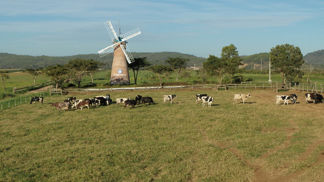 Các quỹ đầu tư tiên phong tìm kiếm cơ hội đầu tư ESG tại Việt Nam - Hình 5 Cac quy dau tu tien phong tim kiem co hoi dau tu ESG tai Viet Nam-Hinh-5