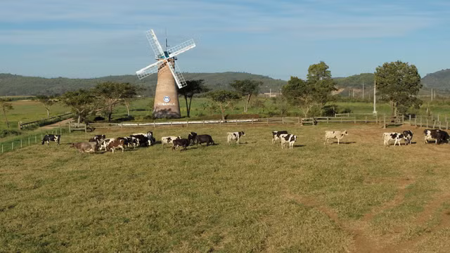 Cac quy dau tu tien phong tim kiem co hoi dau tu ESG tai Viet Nam-Hinh-5