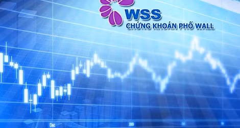 Diem ten 2 cong ty chung khoan bao lo quy 2/2024