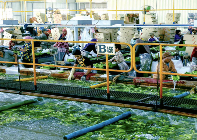 Lo dien nha dau tu chi 1.300 ty mua 130 trieu co phieu HAG