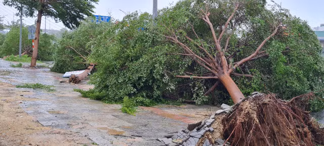 Can canh TP Da Nang khi sieu bao Noru quet qua-Hinh-14