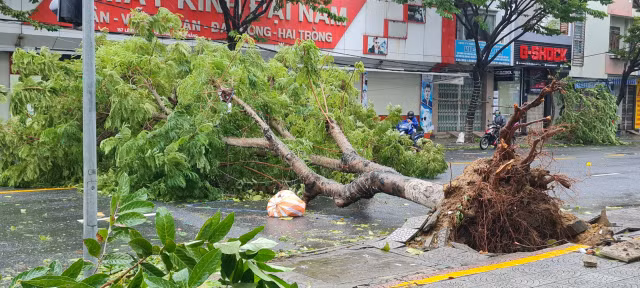 Can canh TP Da Nang khi sieu bao Noru quet qua-Hinh-3