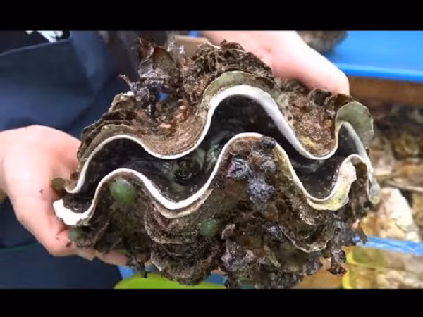 Vi sao vo so tai tuong Philippines duoc sang lung trai phep?-Hinh-8