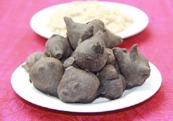 Biet gi ve loai cay 'nu hoang doc duoc' O dau?-Hinh-7