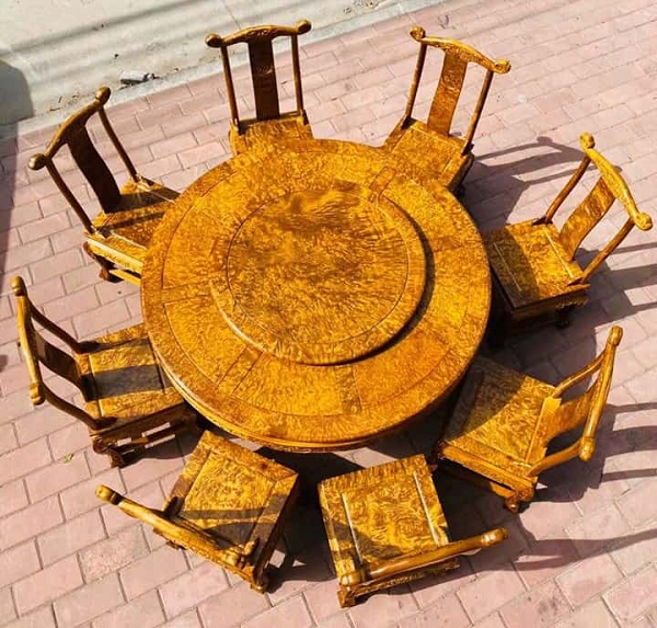 Vì sao cây gỗ kim tơ nam mộc giá 9.000 tỷ nhưng không ai dám trồng? - Hình 10 Vi sao cay go kim to nam moc gia 9.000 ty nhung khong ai dam trong?-Hinh-10