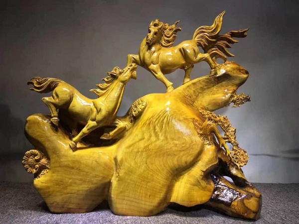 Vì sao cây gỗ kim tơ nam mộc giá 9.000 tỷ nhưng không ai dám trồng? - Hình 9 Vi sao cay go kim to nam moc gia 9.000 ty nhung khong ai dam trong?-Hinh-9