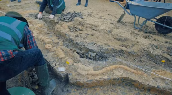 Bat ngo lo dien “Rong bien” huyen thoai dai khung 10m-Hinh-10