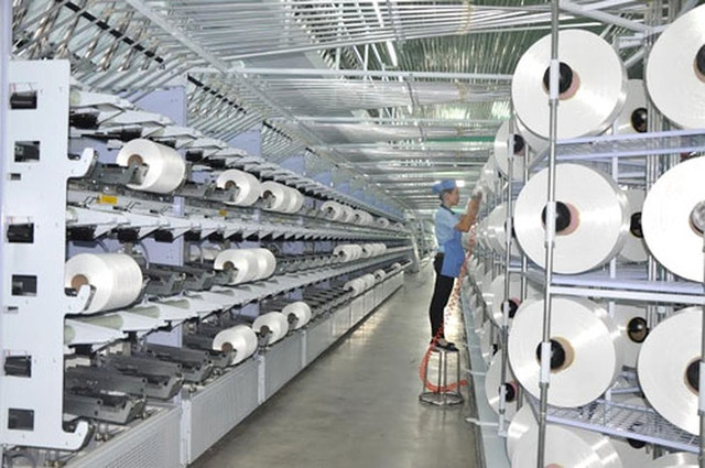Sợi Thế Kỷ báo lãi năm 2020 giảm mạnh 33% Soi The Ky bao lai nam 2020 giam manh 33%