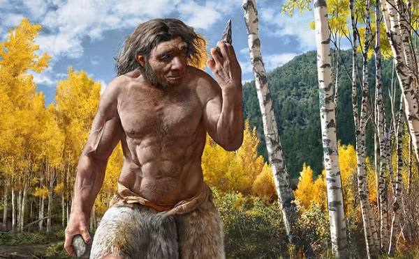 Nhung dau hieu la cho thay ban la con lai cua loai nguoi khac-Hinh-8