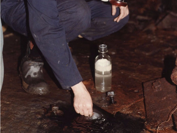 Phát hiện báu vật vô cùng quý hiếm 1,2 tỷ năm dưới mỏ vàng - Hình 2 Phat hien bau vat vo cung quy hiem 1,2 ty nam duoi mo vang-Hinh-2